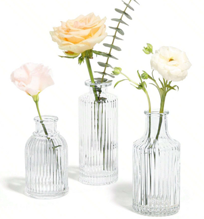 Set de 3 Vases en Verre