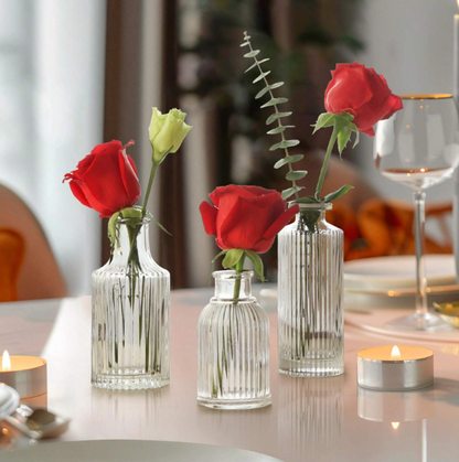 Set de 3 Vases en Verre