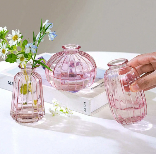 Ensemble de 3 Vases en Verre