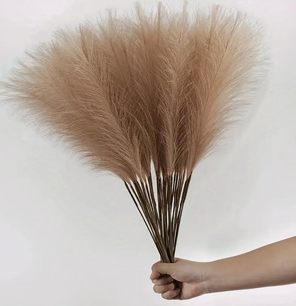 Plumes d'Or